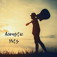 Různí interpreti – Acoustic Hits