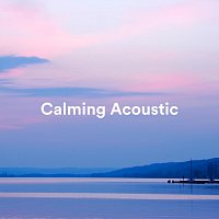 Přední strana obalu CD Calming Acoustic