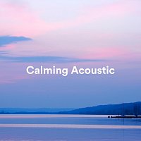 Calming Acoustic