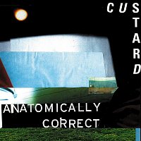 Custard – Anatomically Correct