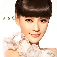 Přední strana obalu CD ???