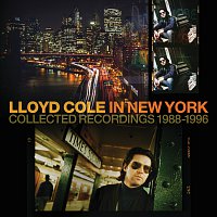 Přední strana obalu CD In New York (Collected Recordings 1988-1996)