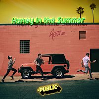 PUBLIC – Honey In The Summer [Acoustic]
