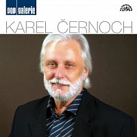 Pop galerie – Karel Černoch – Supraphonline.cz