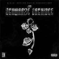 JURI – Schwarze Orchidee