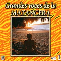 Různí interpreti – Colección de Oro: Grandes Voces de la Matancera, Vol. 1
