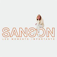 Véronique Sanson – Les Moments Importants