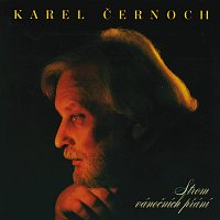 Karel Černoch – Strom vanocnich prani MP3