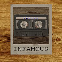 Přední strana obalu CD INDIGO