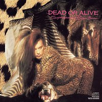 Dead Or Alive – Sophisticated Boom Boom
