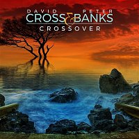 David Cross & Peter Banks – Crossover