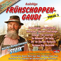 Různí interpreti – A zünftige Frühschoppen-Gaudi - Folge 3