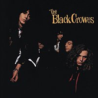 The Black Crowes – Shake Your Money Maker