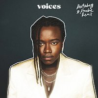 Voices [Hertzberg & Funke remix]