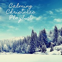 Bodhi Holloway, Coco McCloud, Juniper Hanson, Thomas Benjamin Cooper – Calming Christmas Playlist