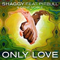 Shaggy, Pitbull & Gene Noble – Only Love