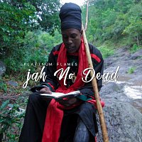 Platinum Flames – Jah No Dead
