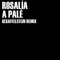 Gesaffelstein x ROSALÍA – A Palé (Gesaffelstein Remix)