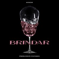 Přední strana obalu CD Brindar