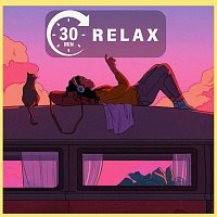 Různí interpreti – 30 Mins : Relax