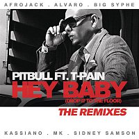 Pitbull, T-Pain – Hey Baby (Drop It To The Floor) - The Remixes EP