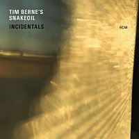 Tim Berne's Snakeoil – Incidentals