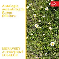 Přední strana obalu CD Antologie autentických forem folklóru. Moravský autentický folklór.