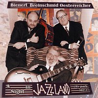 Bienert Breinschmid Oesterreicher – A night in Jazzland