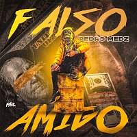 Přední strana obalu CD Falso Amigo