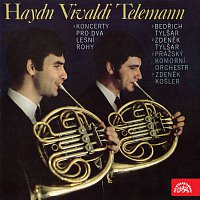 Přední strana obalu CD Haydn, Vivaldi, Telemann: Koncerty pro lesní rohy a orchestr