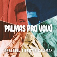 Analaga, Tierry, Bruno Caliman – Palmas Pro Vovo