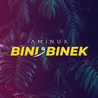 Přední strana obalu CD Bini W Binek