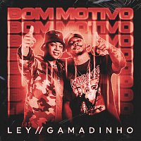 Ley, Gamadinho – Bom Motivo