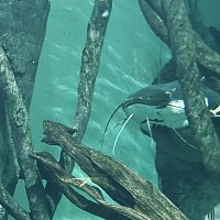 Přední strana obalu CD Moments Before Drowning