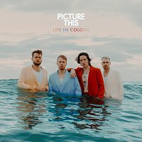 Picture This – Life In Colour