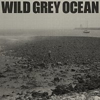 Sam Fender – Wild Grey Ocean