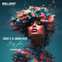 SVNSETS, Shawn Hook – Crazy Love [Extended Mix]