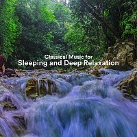 Chris Snelling, Chris Mercer, Nils Hahn, Max Arnald, Robin Mahler, James Shanon – Classical Music for Sleeping and Deep Relaxation