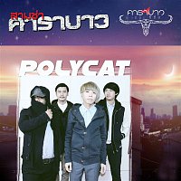 Polycat – Sam Cha Carabao