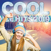 Přední strana obalu CD Cool Ice Hits 2019