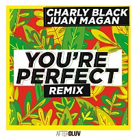 Charly Black, Juan Magán – You're Perfect [Remix]