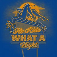 Flo Rida, Tom Martin – What A Night [Tailgate Turn Up]