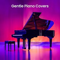 Různí interpreti – Gentle Piano Covers