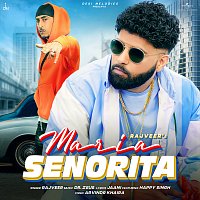 Rajveer, Dr. Zeus, Jaani, Happy Singh – Maria Senorita