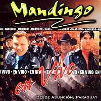 Mandingo – En Vivo Desde Asunción, Paraguay 2001