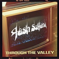 Přední strana obalu CD Through the Valley (The Last of Us Part II)