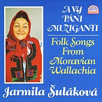 Jarmila Šuláková – A vy páni muziganti