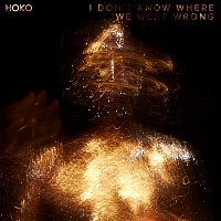 HOKO – I Don't Know Where We Went Wrong