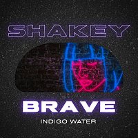 Přední strana obalu CD Shakey Brave