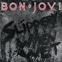 Bon Jovi – Raise Your Hands [Live]